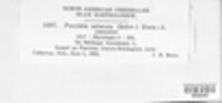 Puccinia asterum image